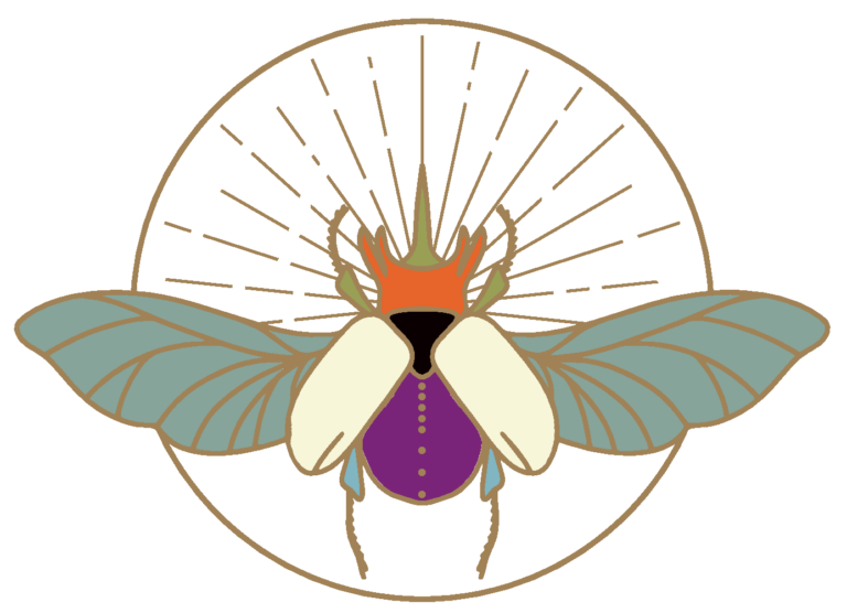 Scarabée en couleurs, logo Anne Venayre