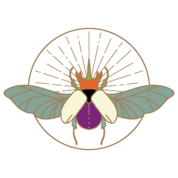 accompagnement-thérapie-anne-venayre-logo